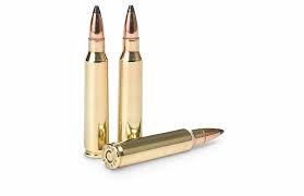 223 Remington